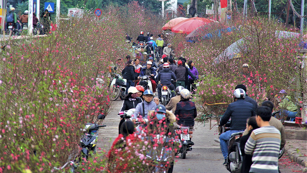 Top những chợ hoa ngày Tết nổi tiếng ở Sài Gòn