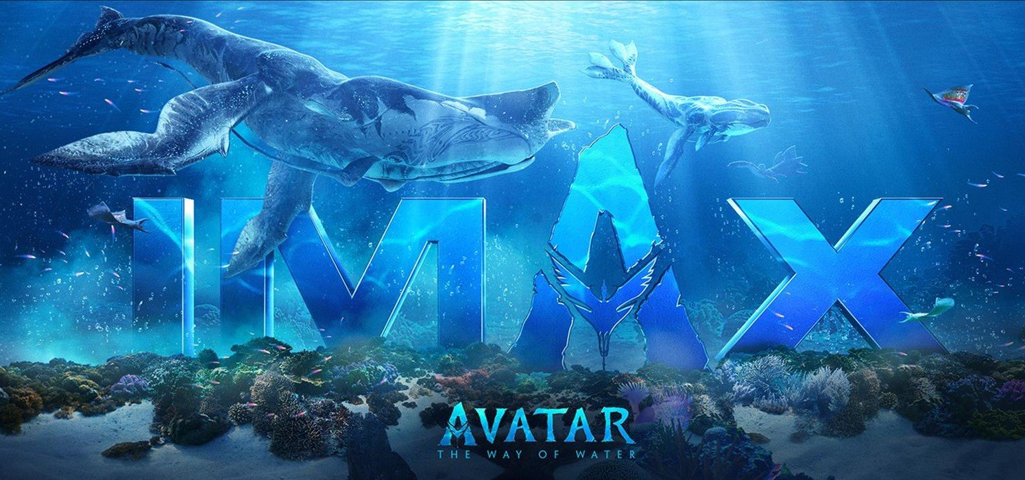 AVATAR 2 THE WAY OF WATER  IMAX Screen Vs Standard Screen Trailer 2 4K  ULTRA HD 2022  YouTube