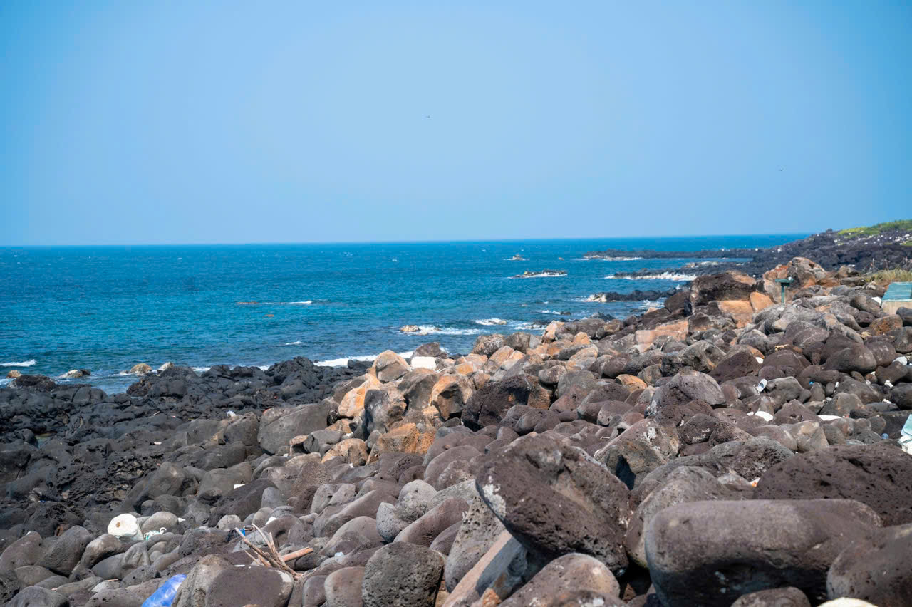   Nước biển xanh m&aacute;t v&agrave; v&ugrave;ng biển chung quanh đảo Cồn Cỏ sở hữu một hệ sinh th&aacute;i san h&ocirc; v&ocirc; c&ugrave;ng phong ph&uacute; v&agrave; đa dạng. Hiện c&oacute; khoảng 109 ho&agrave;i san h&ocirc; kh&aacute;c nhau ở v&ugrave;ng biển của đảo Cồn Cỏ, trong số đ&oacute; c&oacute; san h&ocirc; đỏ v&agrave; san h&ocirc; đen v&ocirc; c&ugrave;ng qu&yacute; hiếm. Trải nghiệm lặn biển, ngắm san h&ocirc; cũng l&agrave; một hoạt động th&uacute; vị tr&ecirc;n đảo.  