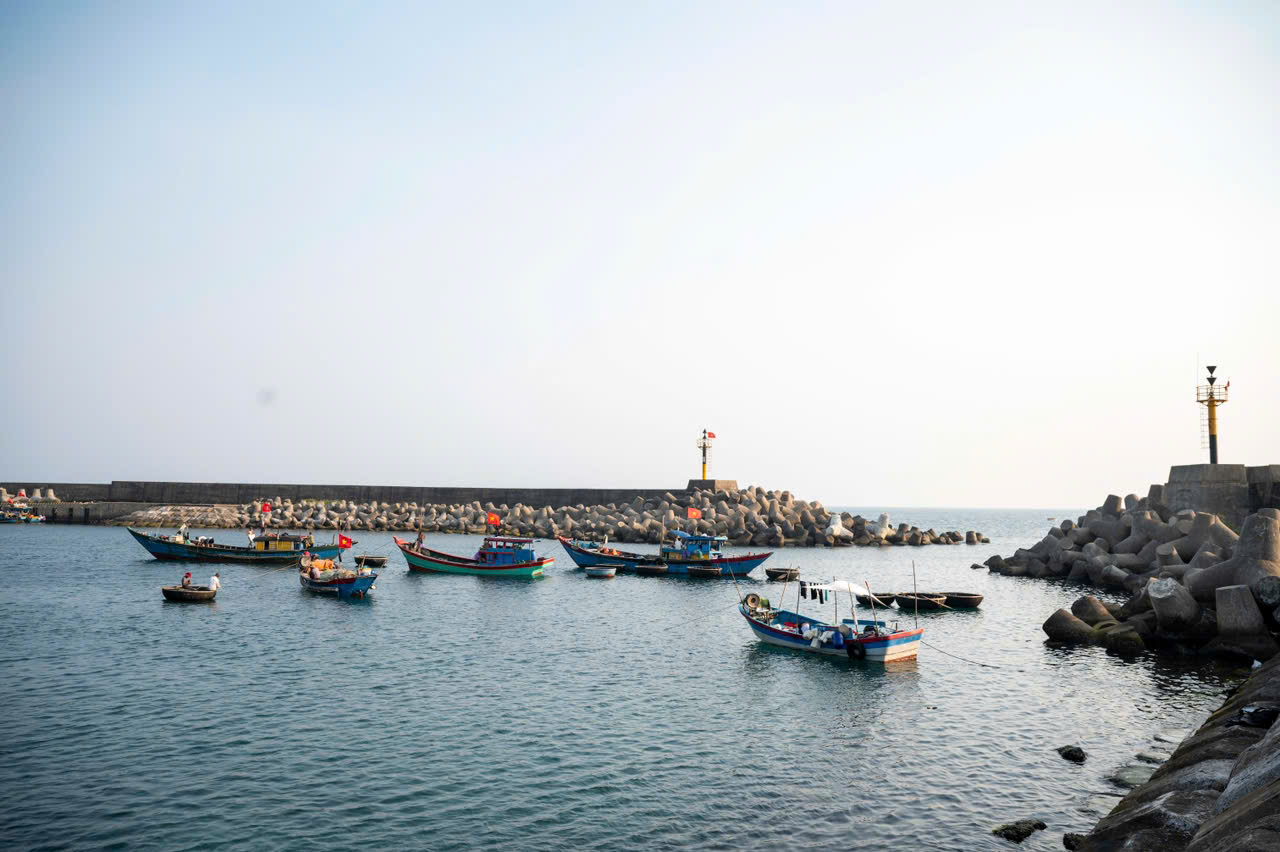 Đ&agrave;o Cồn Cỏ c&oacute; tiềm năng lớn về hậu cần nghề c&aacute;, chế biến thuỷ sản