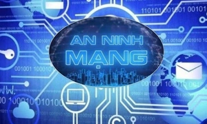 Ng&agrave;y 19/8, Ch&iacute;nh phủ ban h&agrave;nh c&aacute;c Nghị định 327, 331 v&agrave; 333 quy định chi tiết biện ph&aacute;p thi h&agrave;nh Luật An ninh mạng, xử l&yacute; vi phạm tr&ecirc;n kh&ocirc;ng gian mạng. Ảnh minh họa